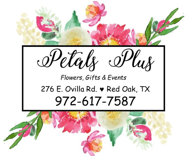 Images Petals Plus Florist & Gifts