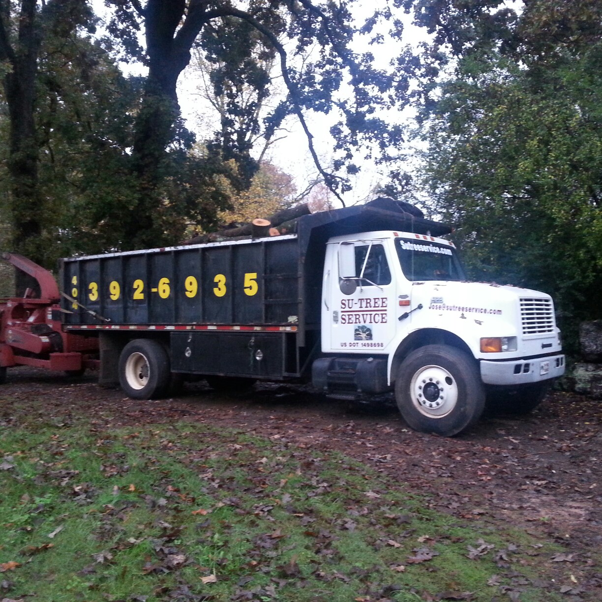 Su-Tree Service Image