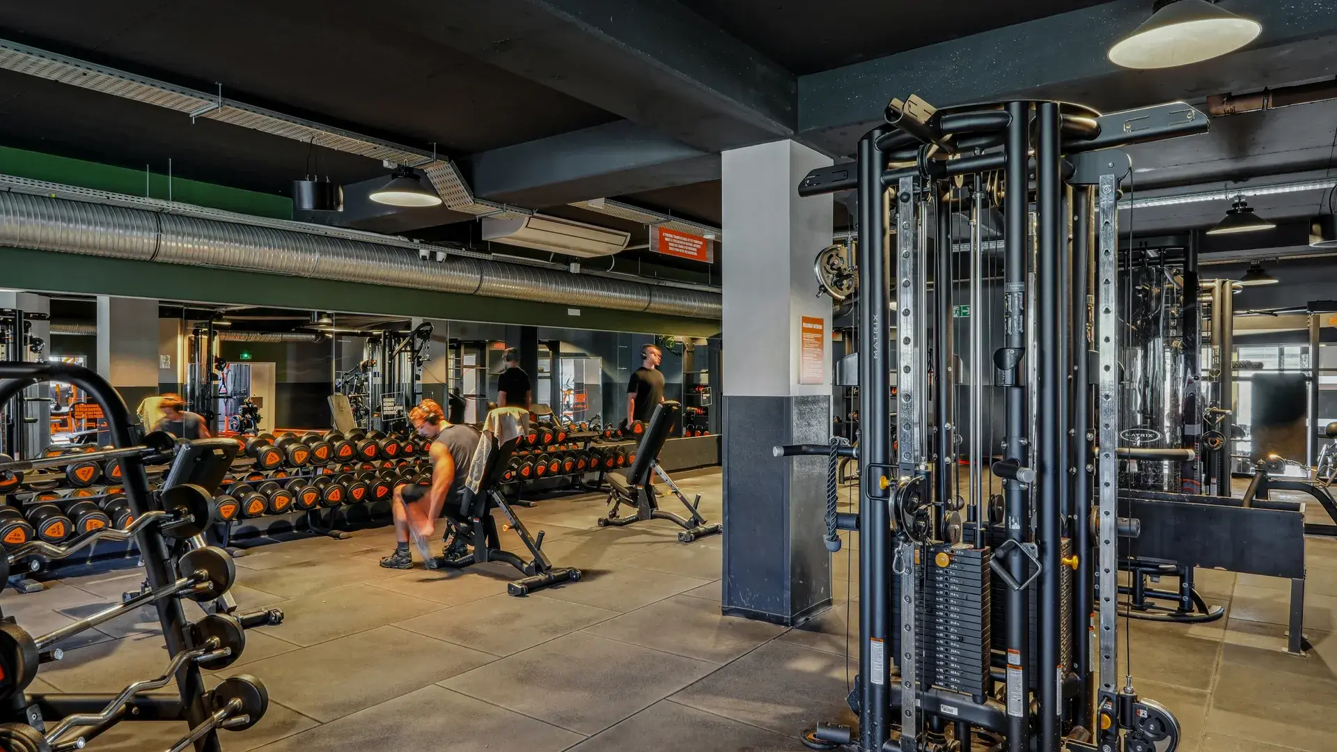 Miniature de la galerie