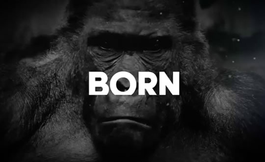 Images BORN