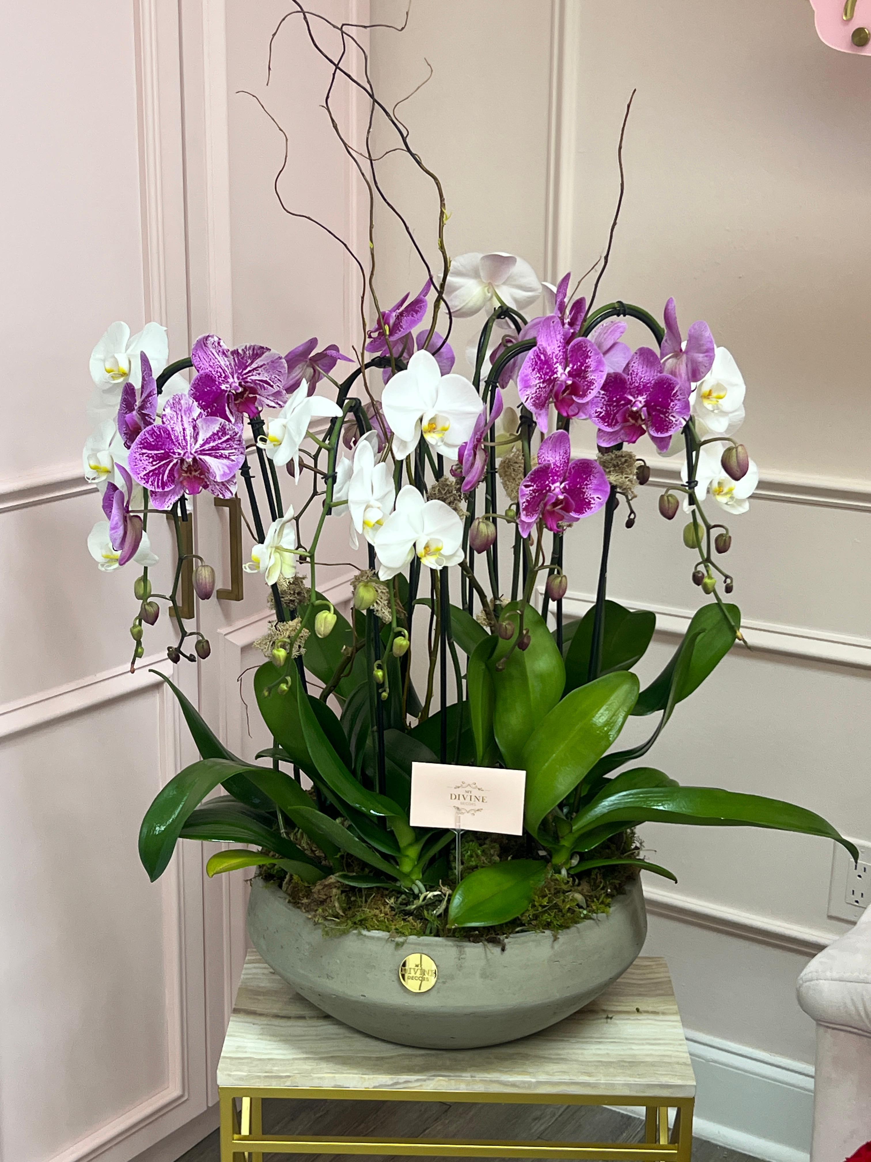 My Divine Decors LLC Image