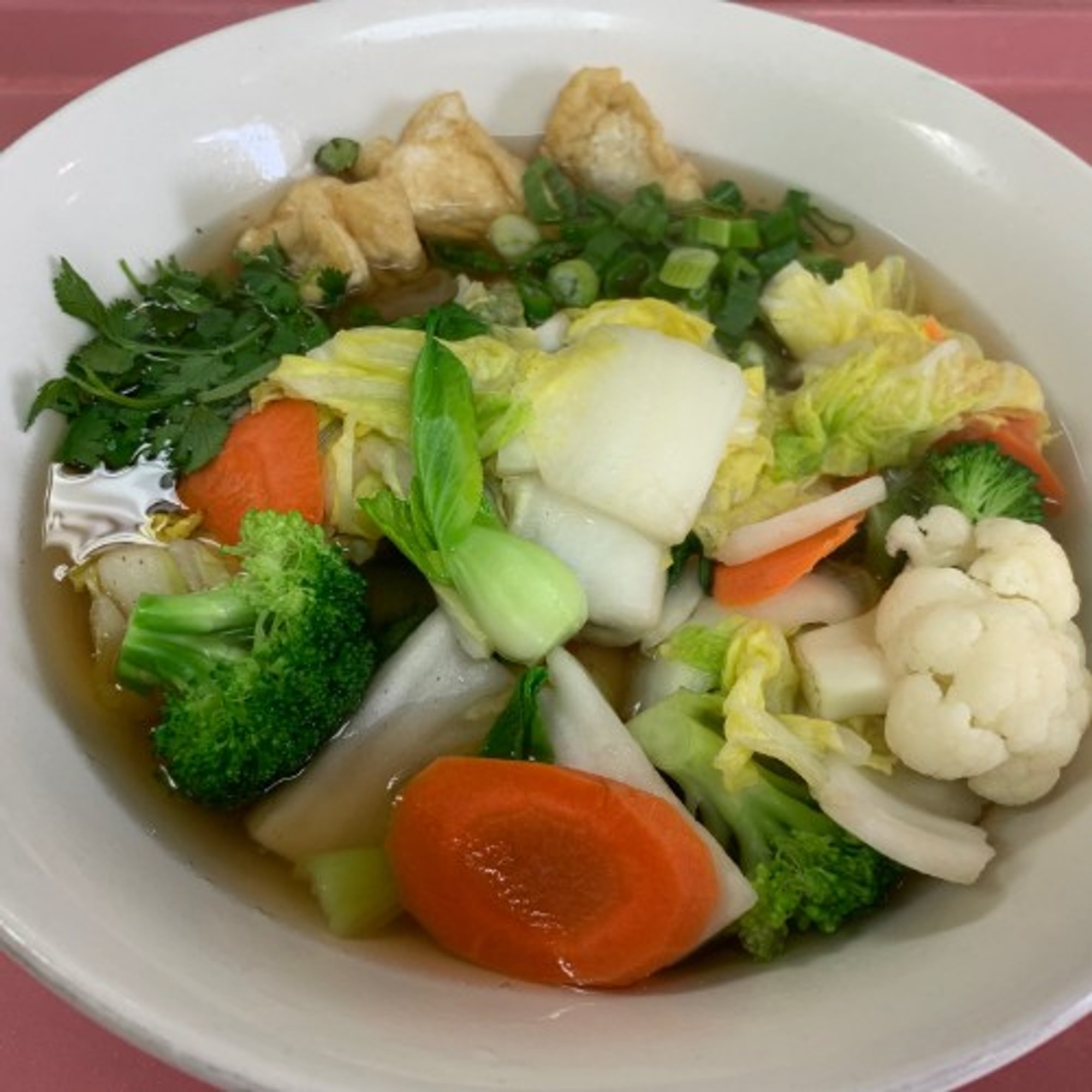 V2. Vegetarian Noodle Soup