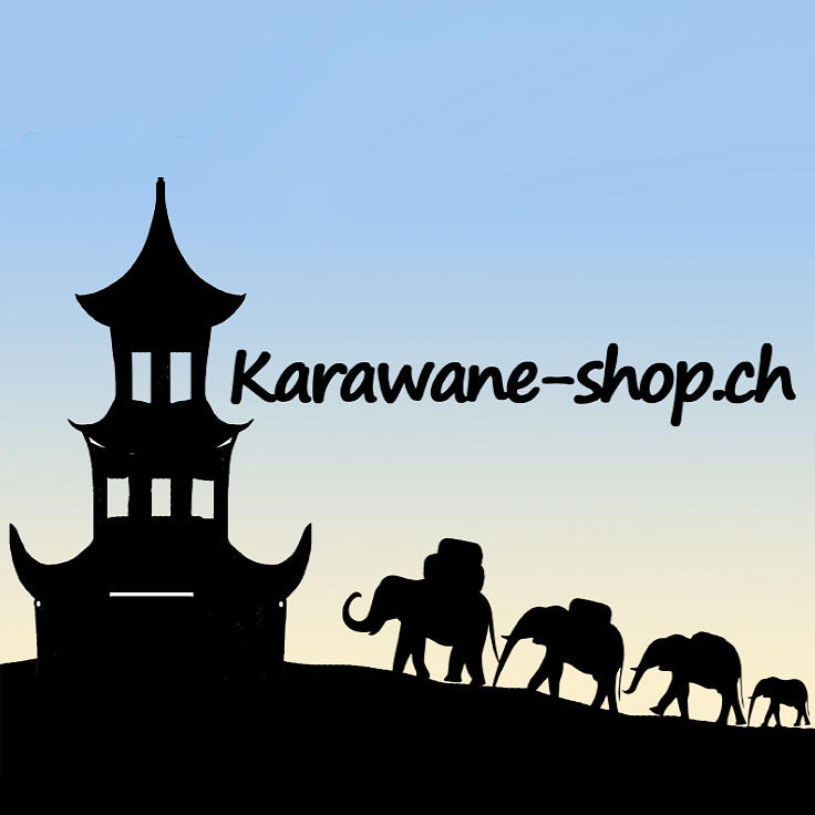 Karawane-Shop, HS Marketing