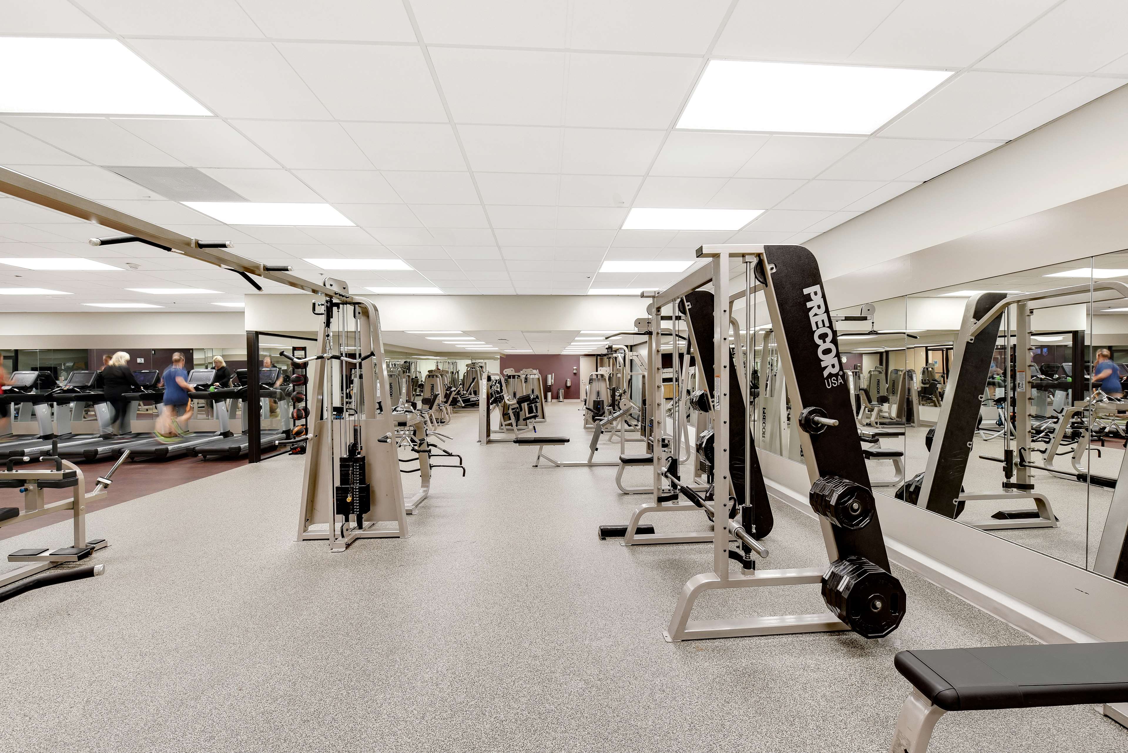 Health club  fitness center  gym