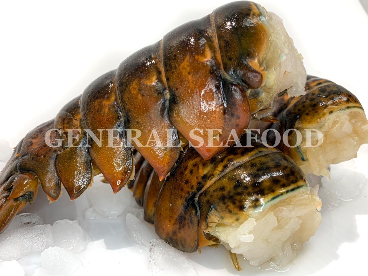 Lobster Tail (1lb)