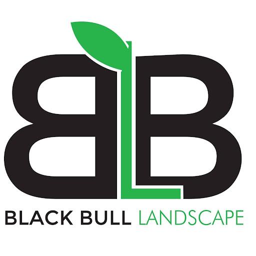 Black Bull Landscapes