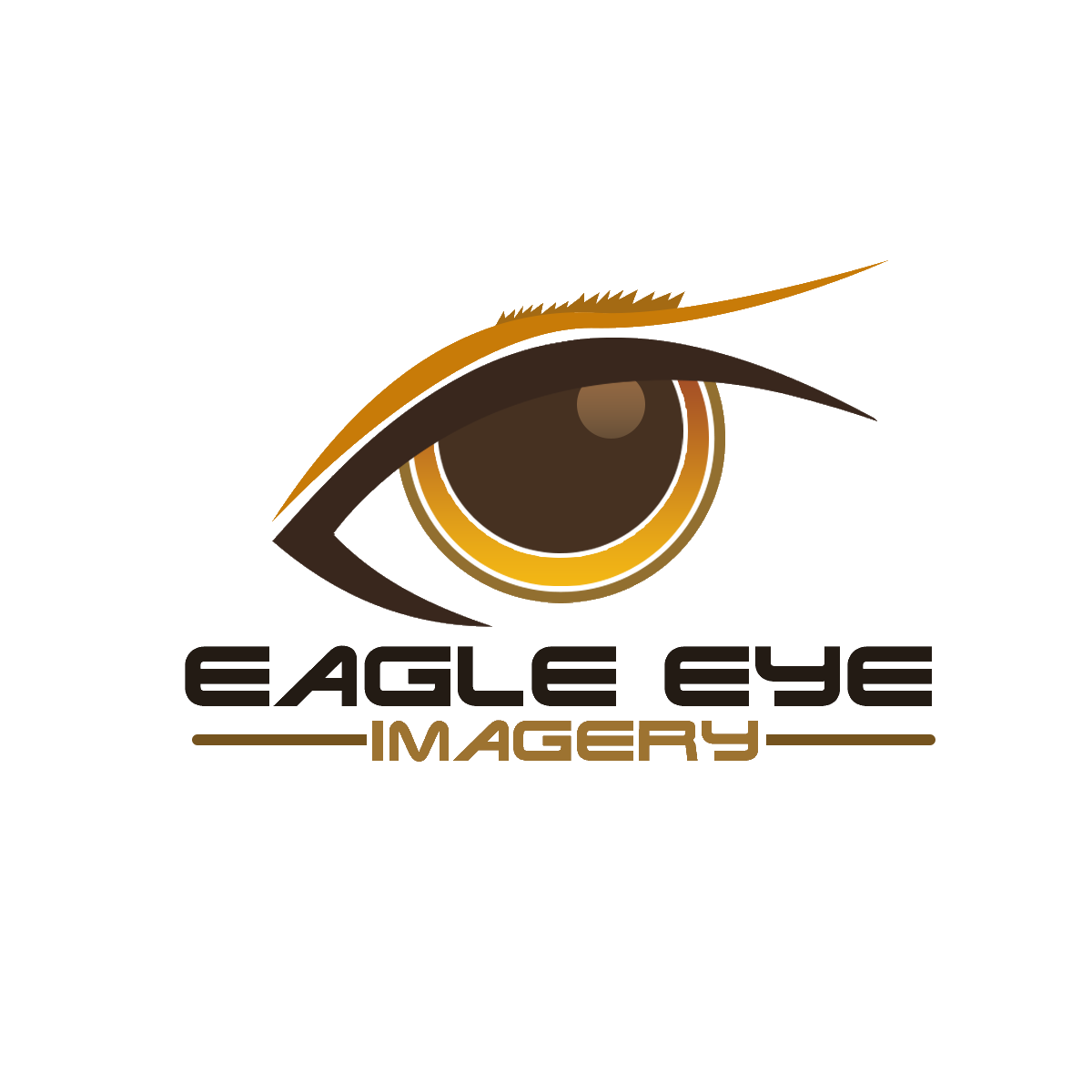 Eagle Eye Imagery Logo