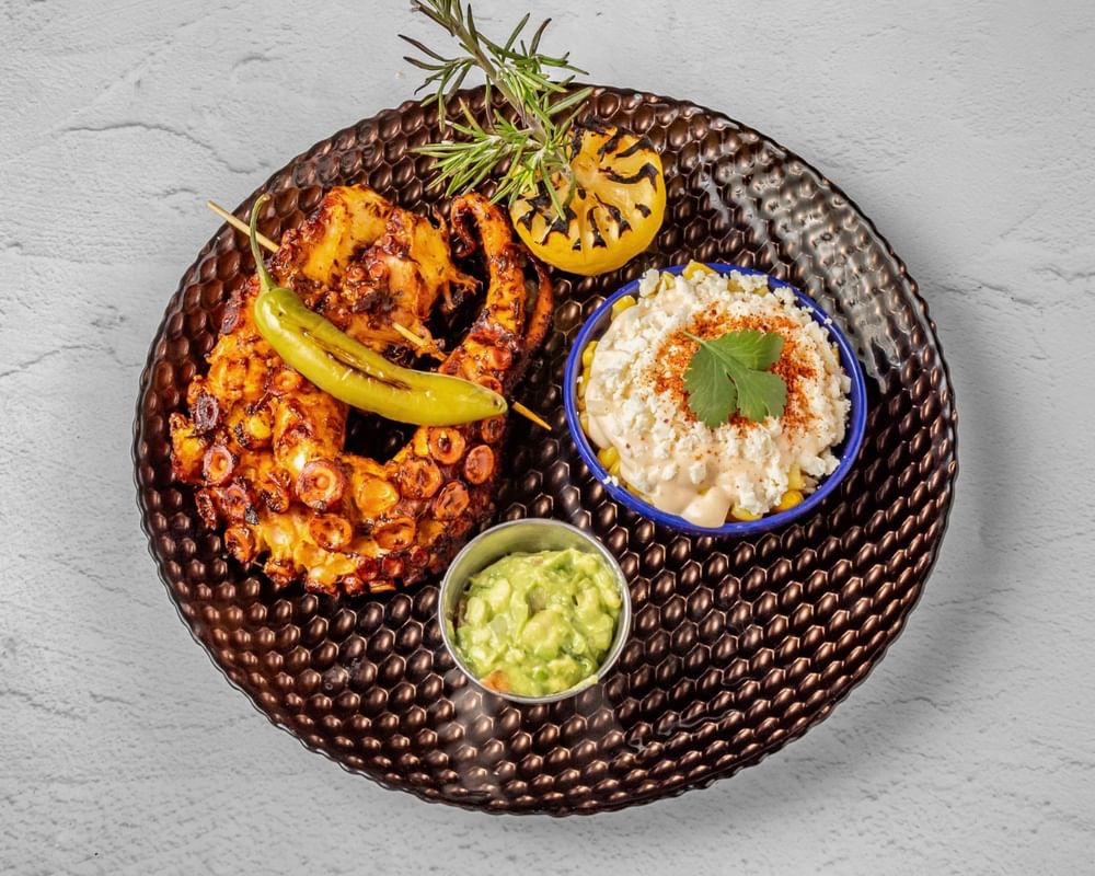 Grilled Octopus