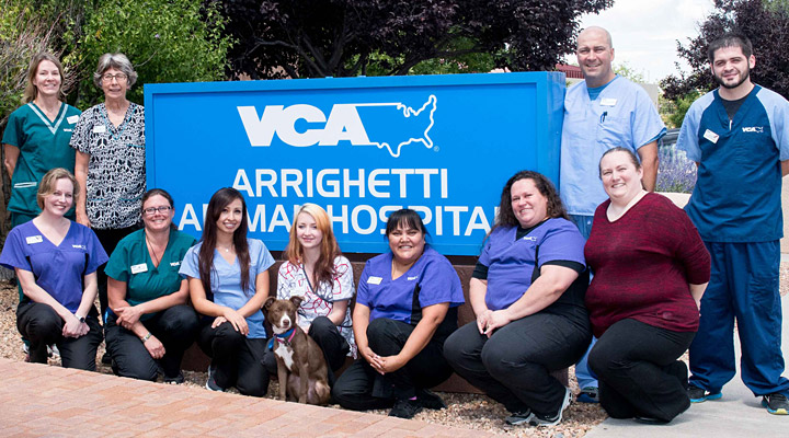 VCA Arrighetti Animal Hospital Photo
