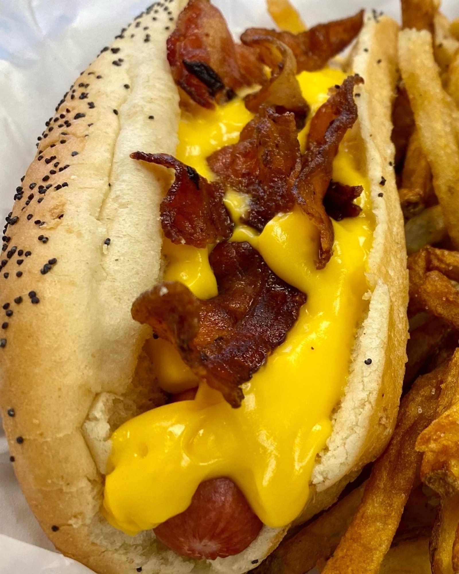 Bacon Cheese Dog