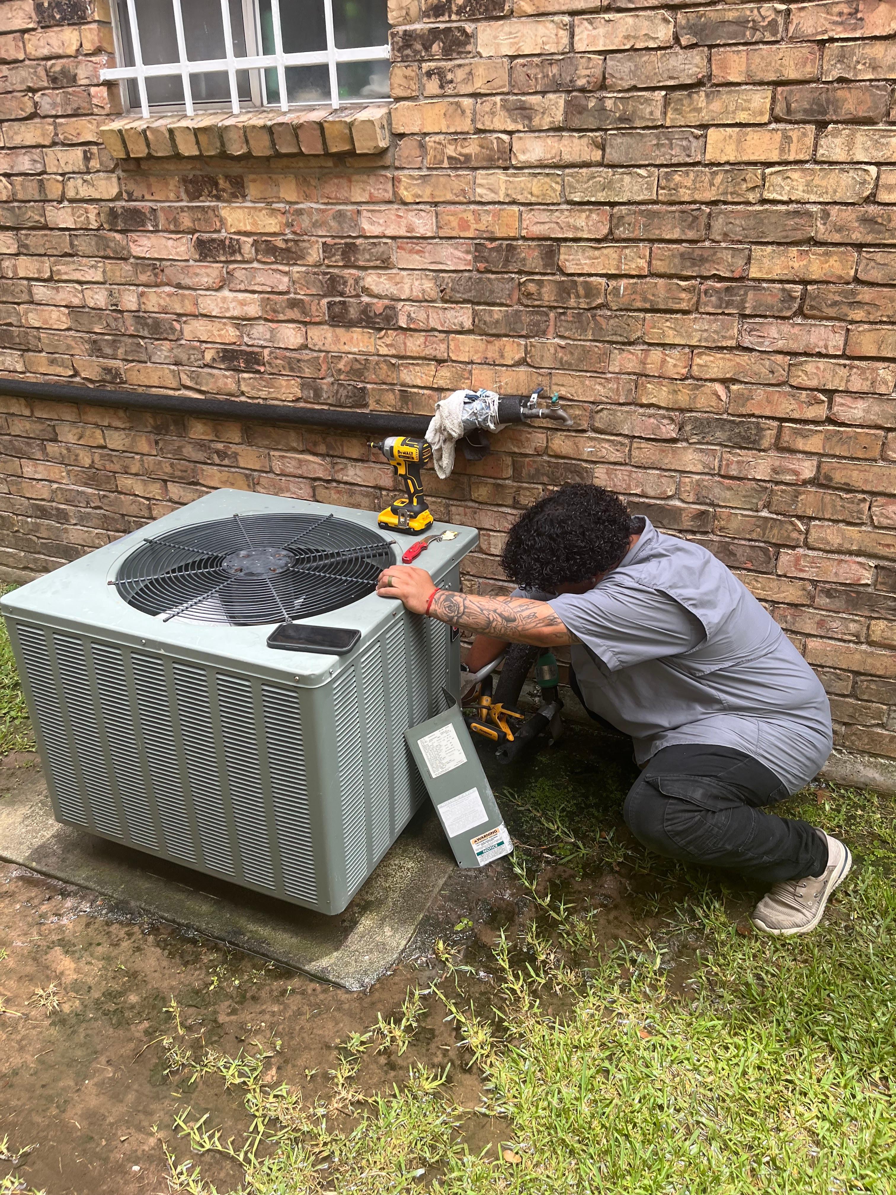 Champion and Nash Image