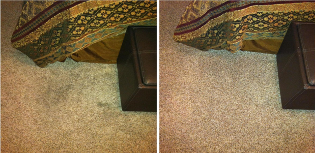 Images Eco Carpet Cleaning