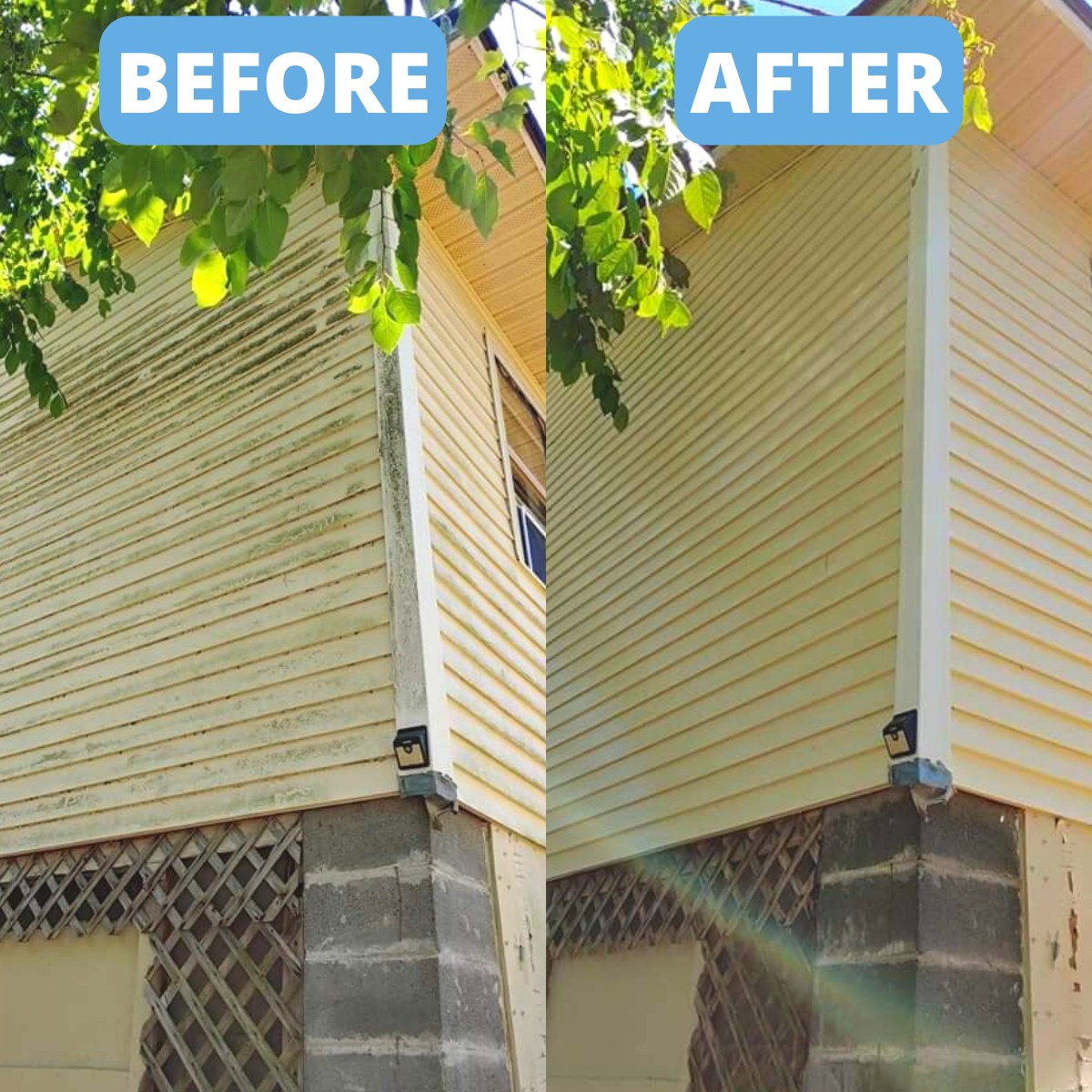 Window Hero Cary Image