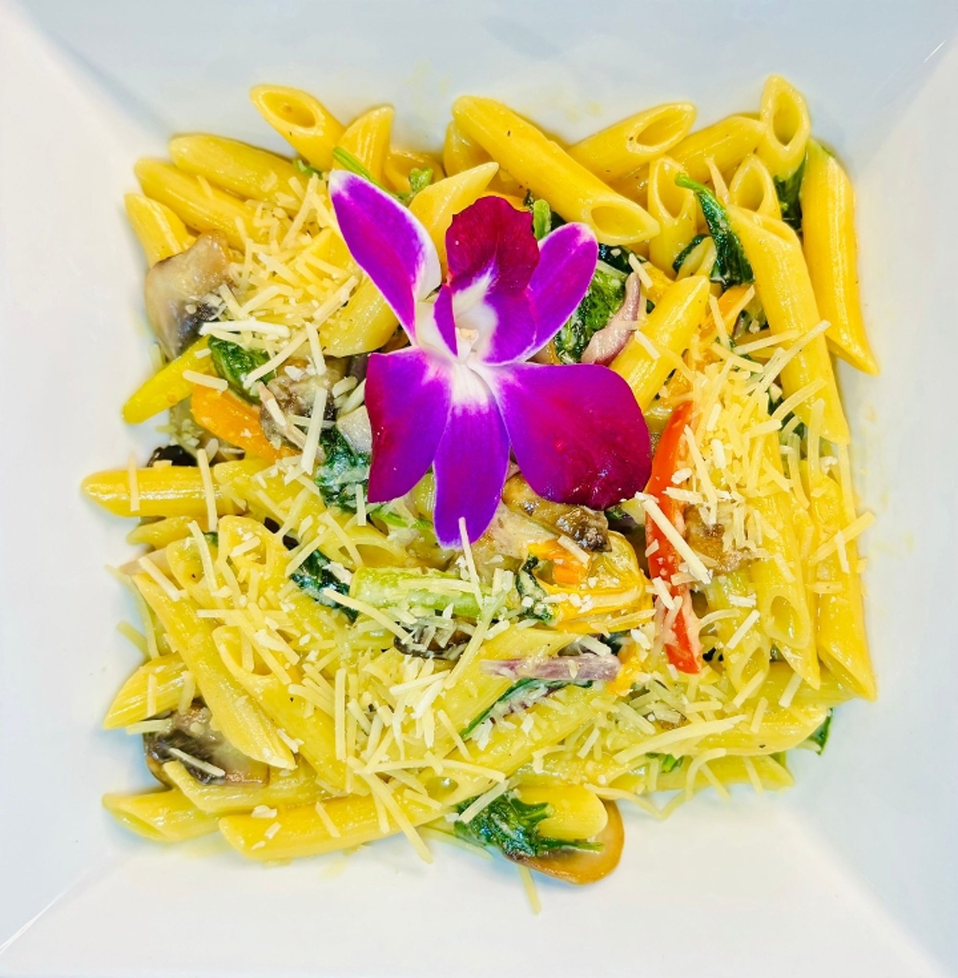 Vegetable Penne with Alfredo Sauce