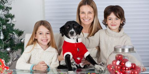 Pet Care Tips: 3 Ways to Keep a Pet Safe During the Holidays