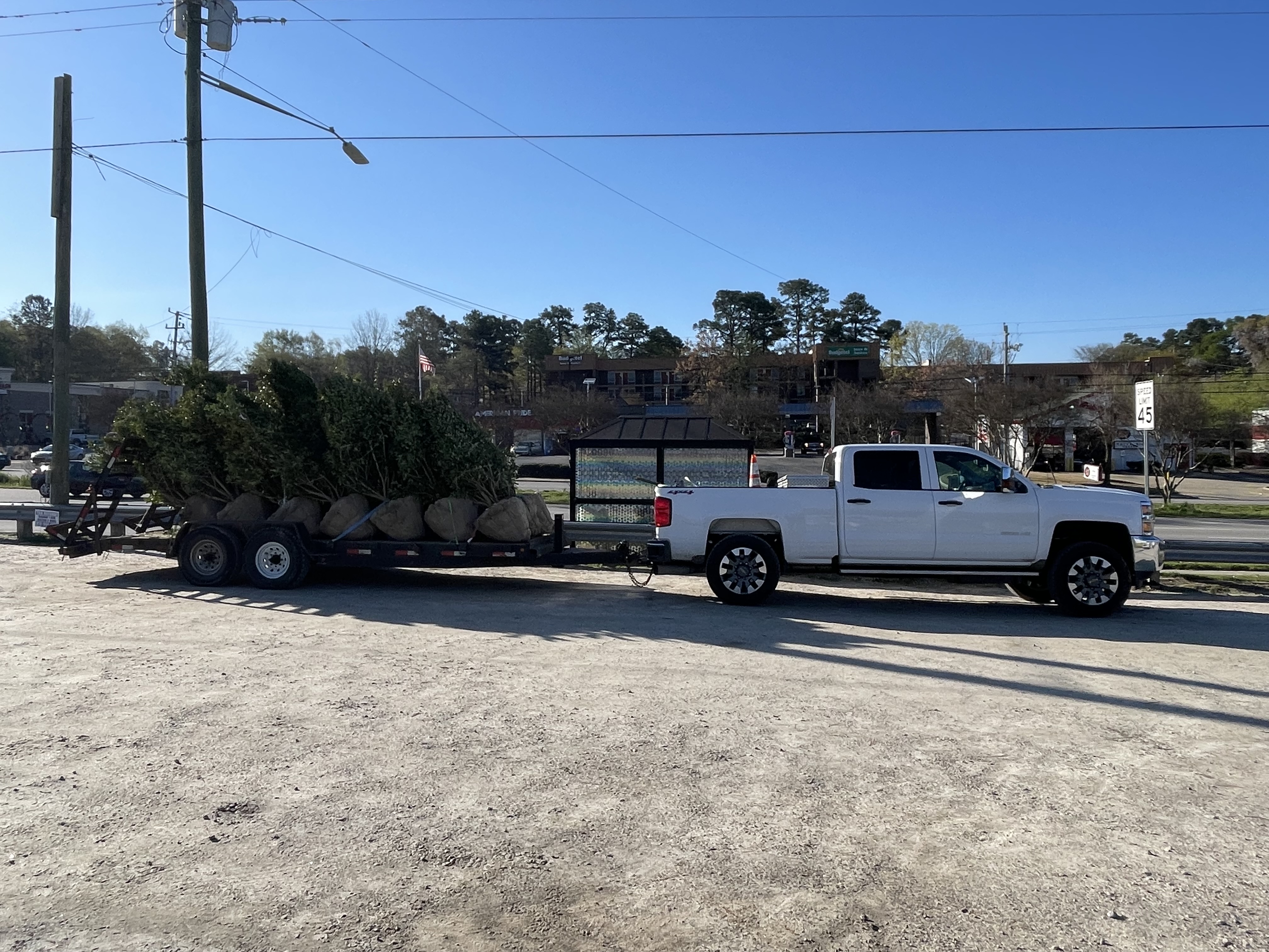 Bejarano Landscaping LLP Image