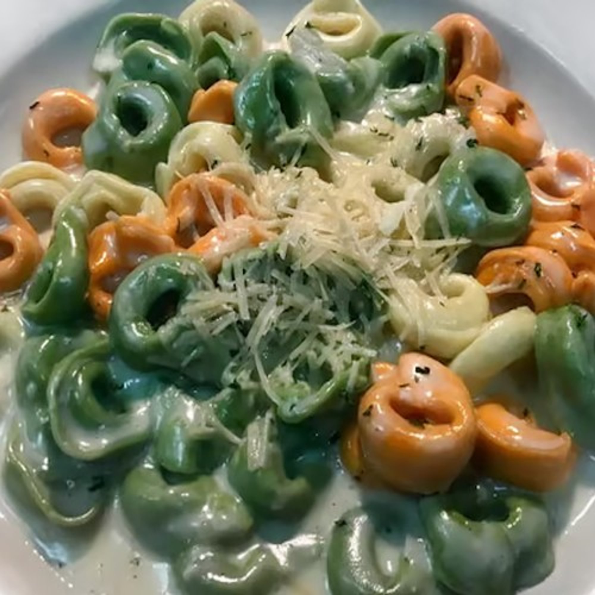 Tri Color Cheese Tortellini
