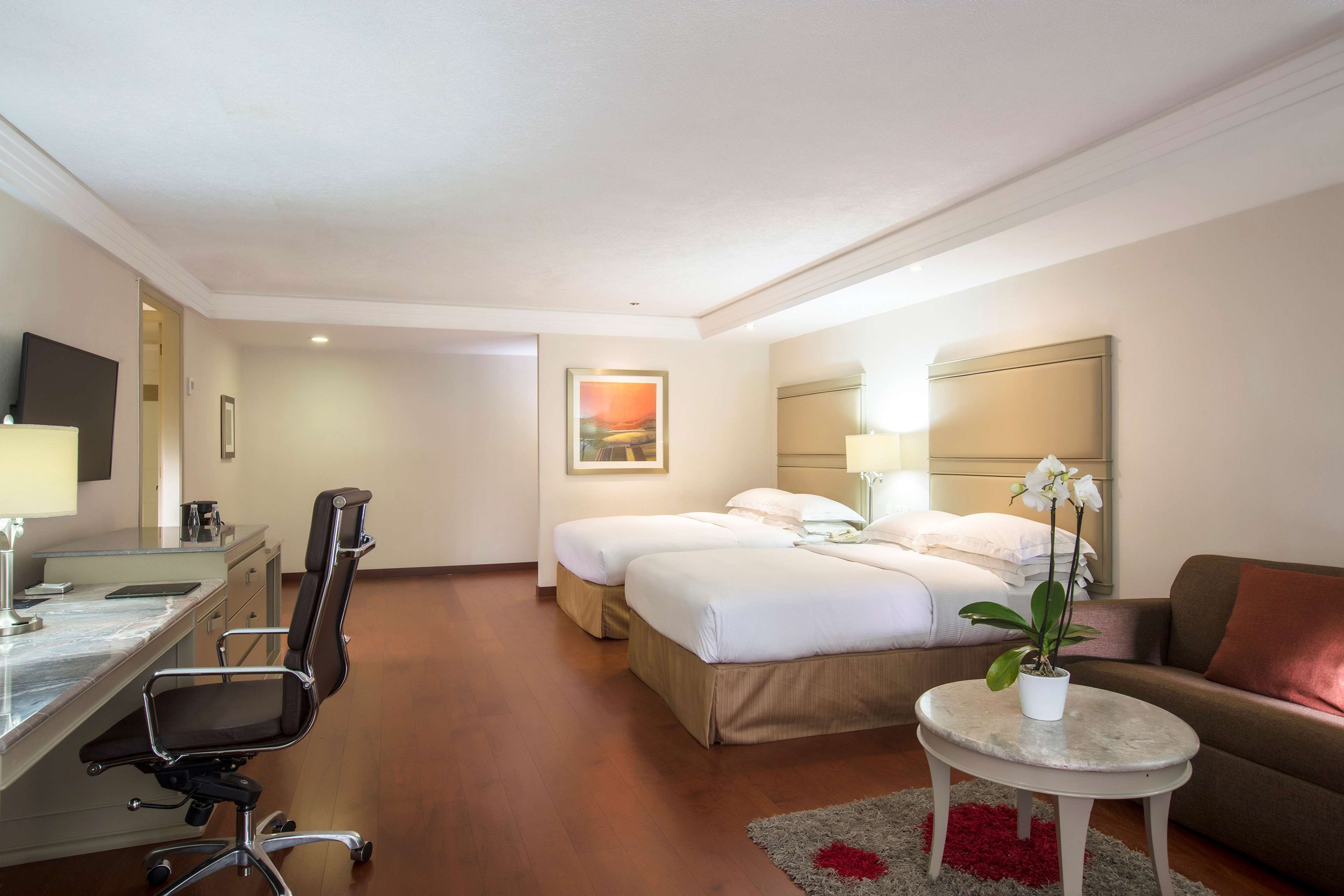 Images Hilton Guadalajara