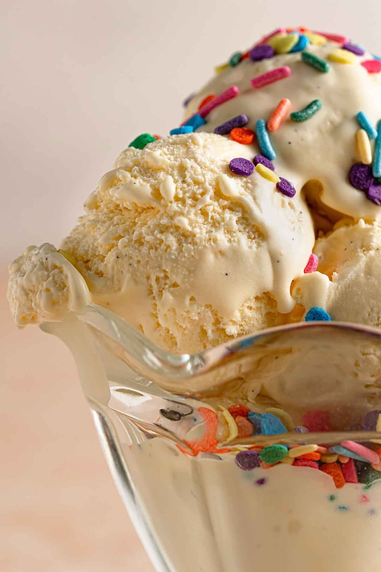 Ice Cream (2 Scoops)