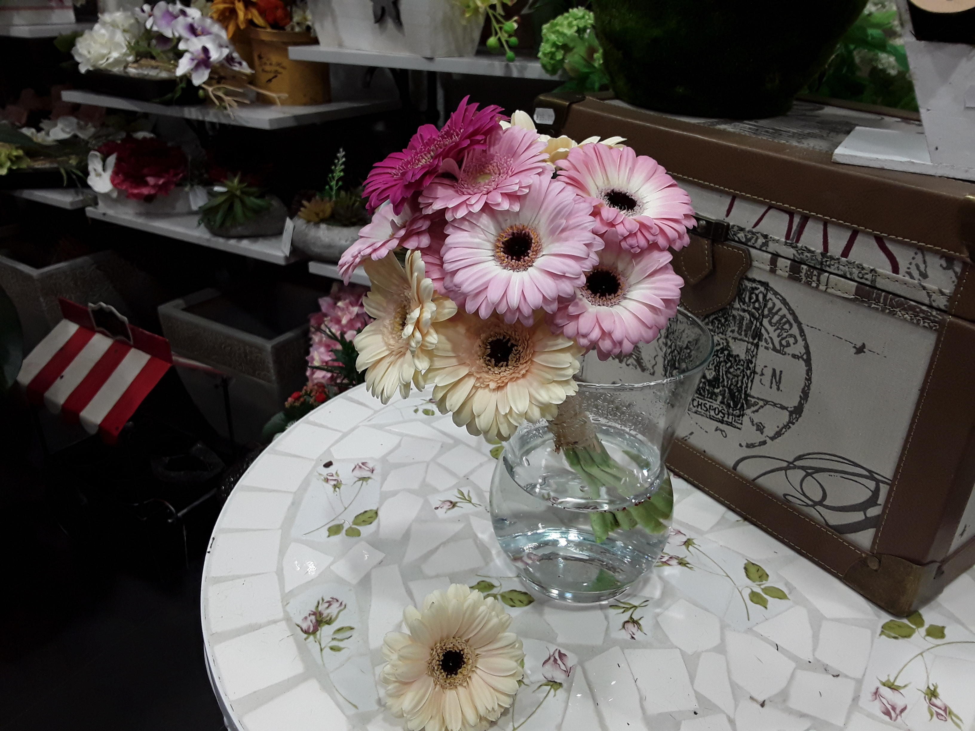 Galería en miniatura
