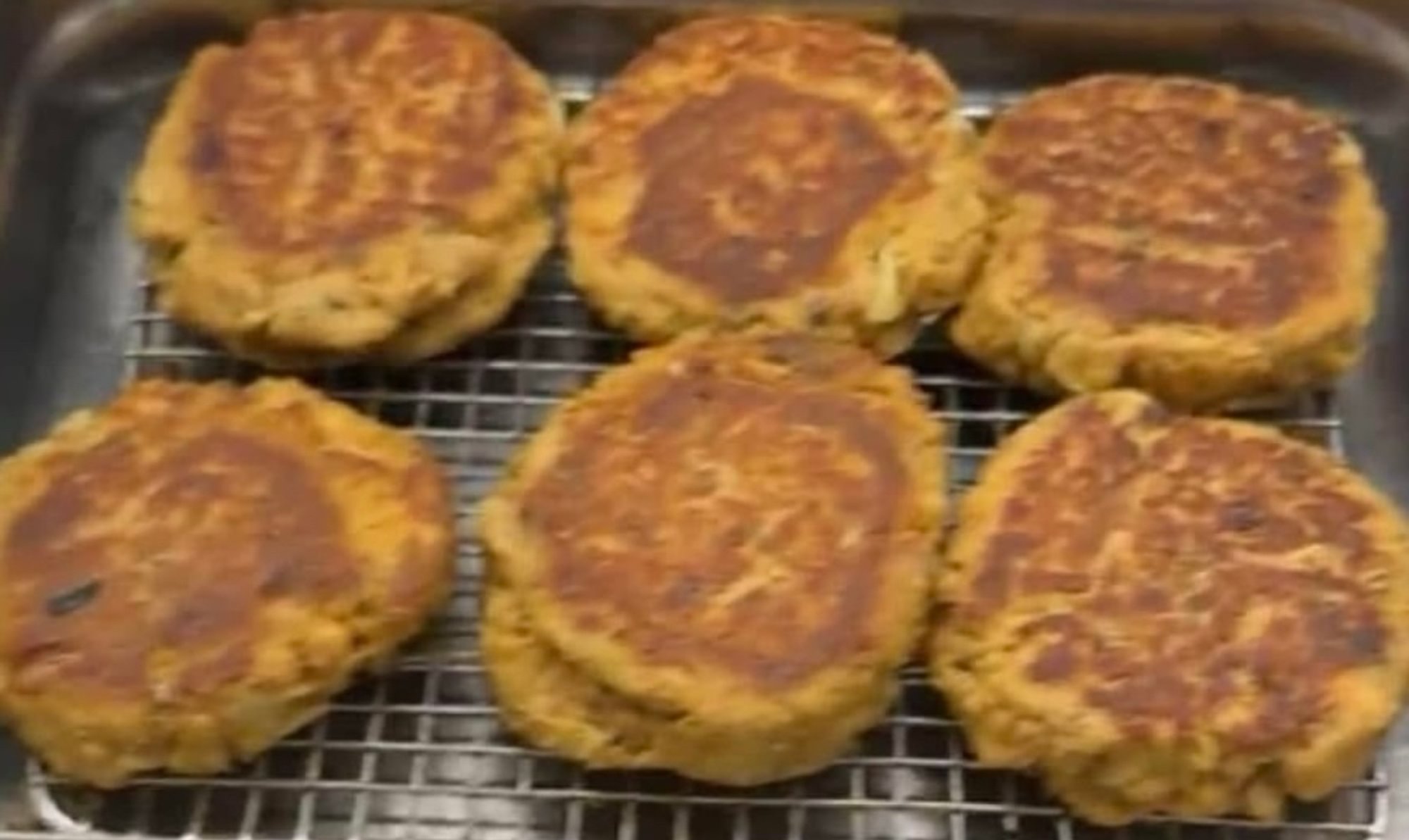 Salmon Patty