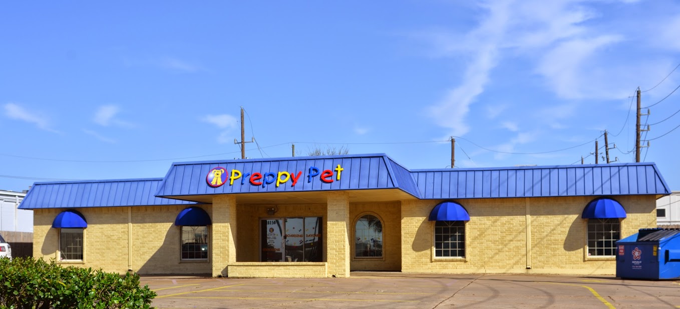 Preppy Pet West Houston in Houston, TX (832) 4271...