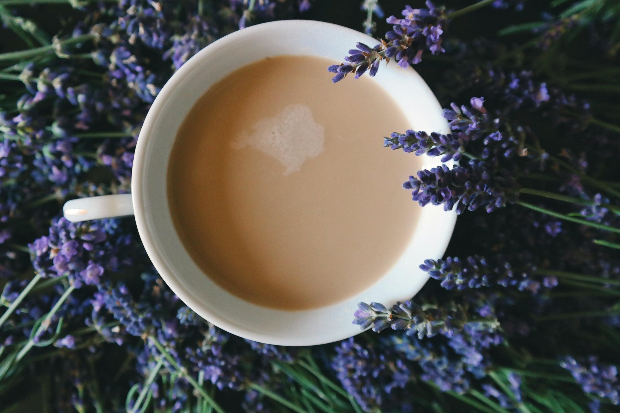 Little Provence Café Latte