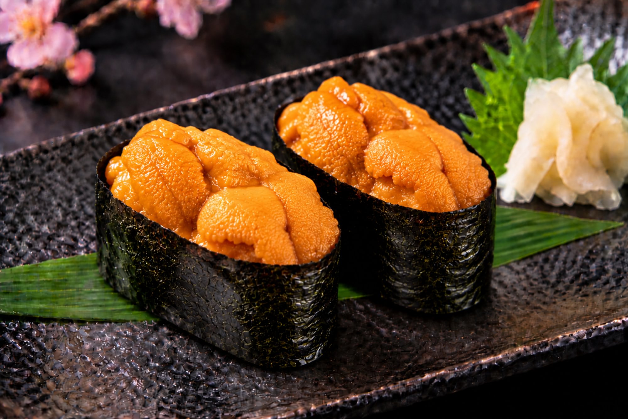Hokkaido Uni**