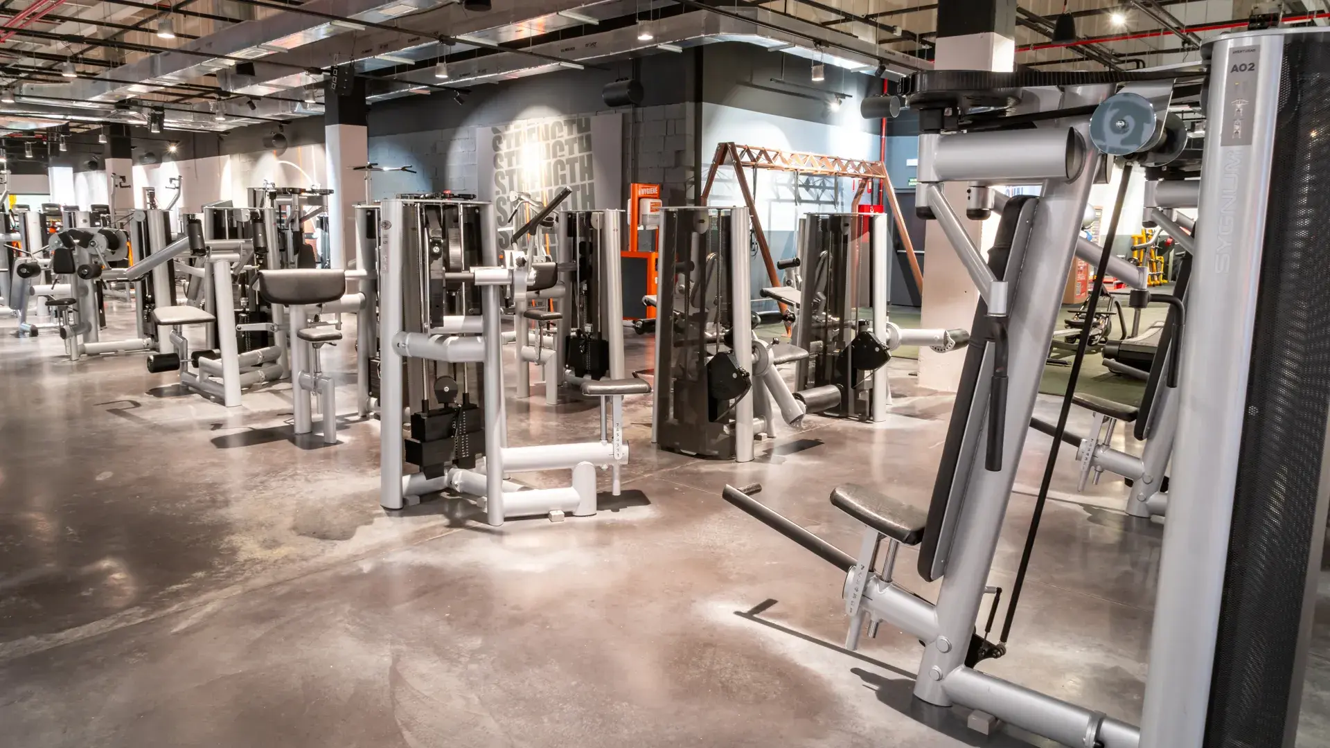 Galería de imágenes