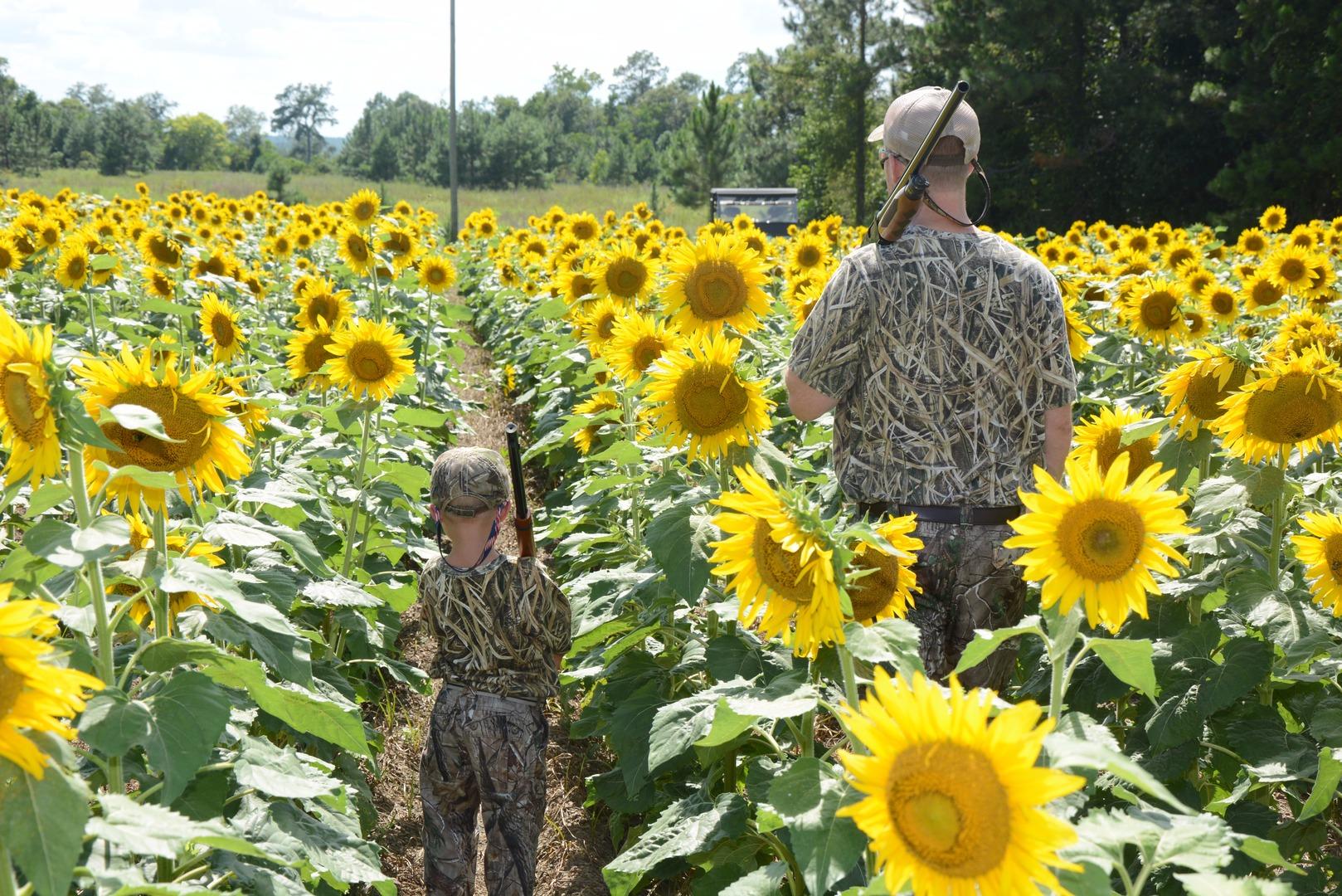 Real Life Photography Image