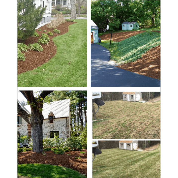 Echo Lawn Care & Maintenance Image