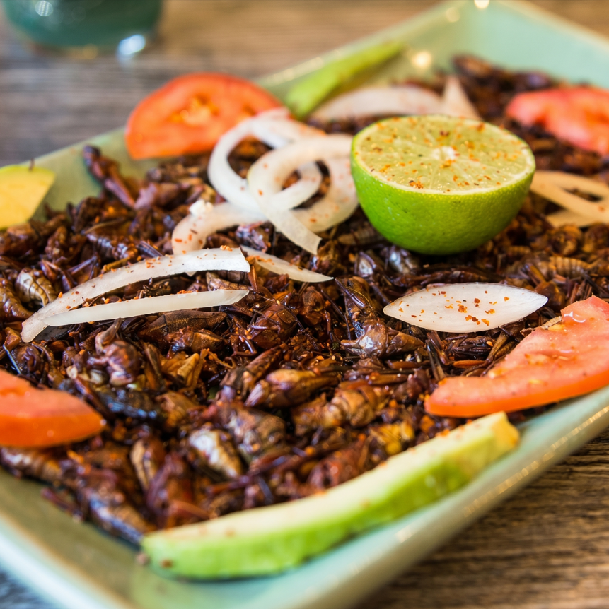 Botana de chapulines