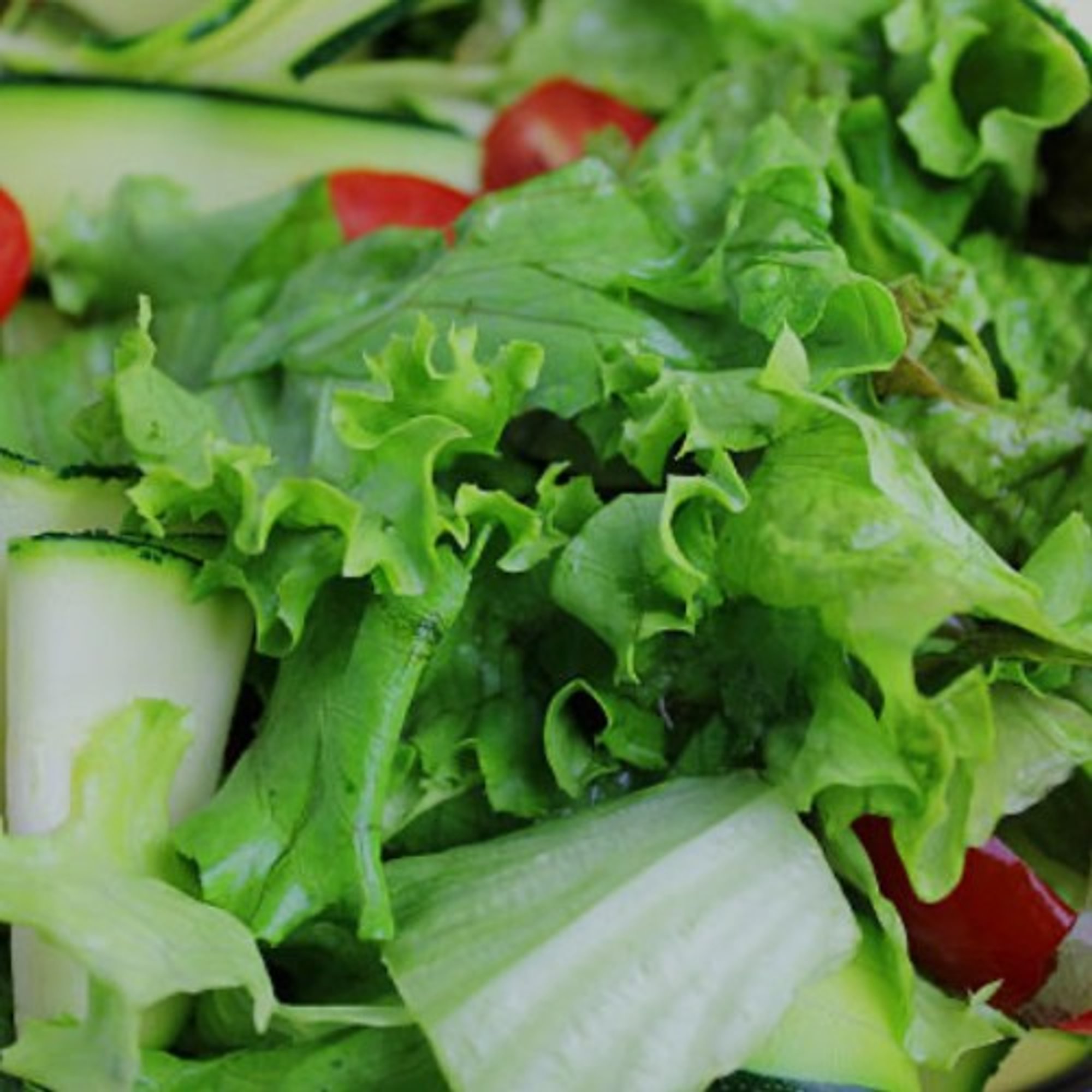 Tossed Salad