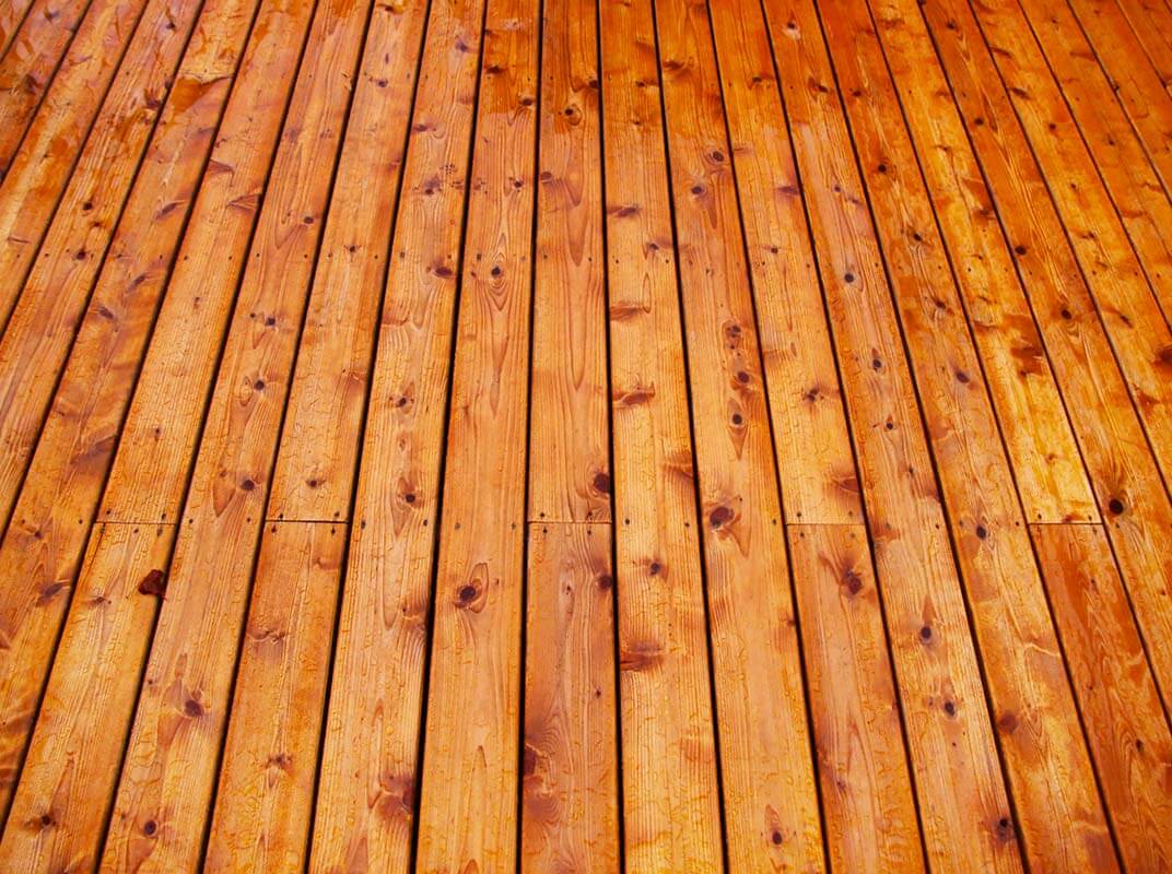 Western Red Cedar