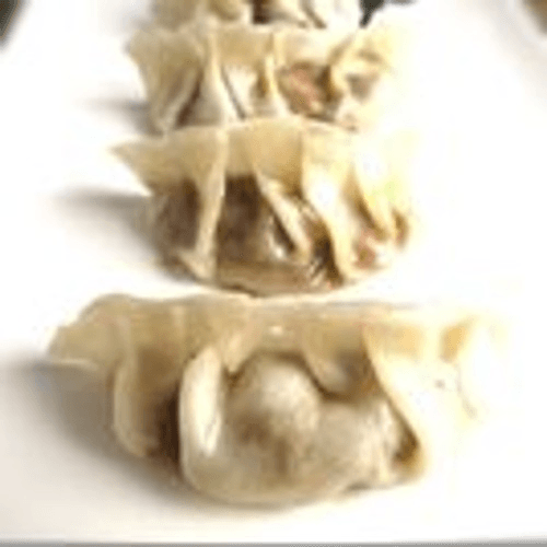 Chicken Potsticker