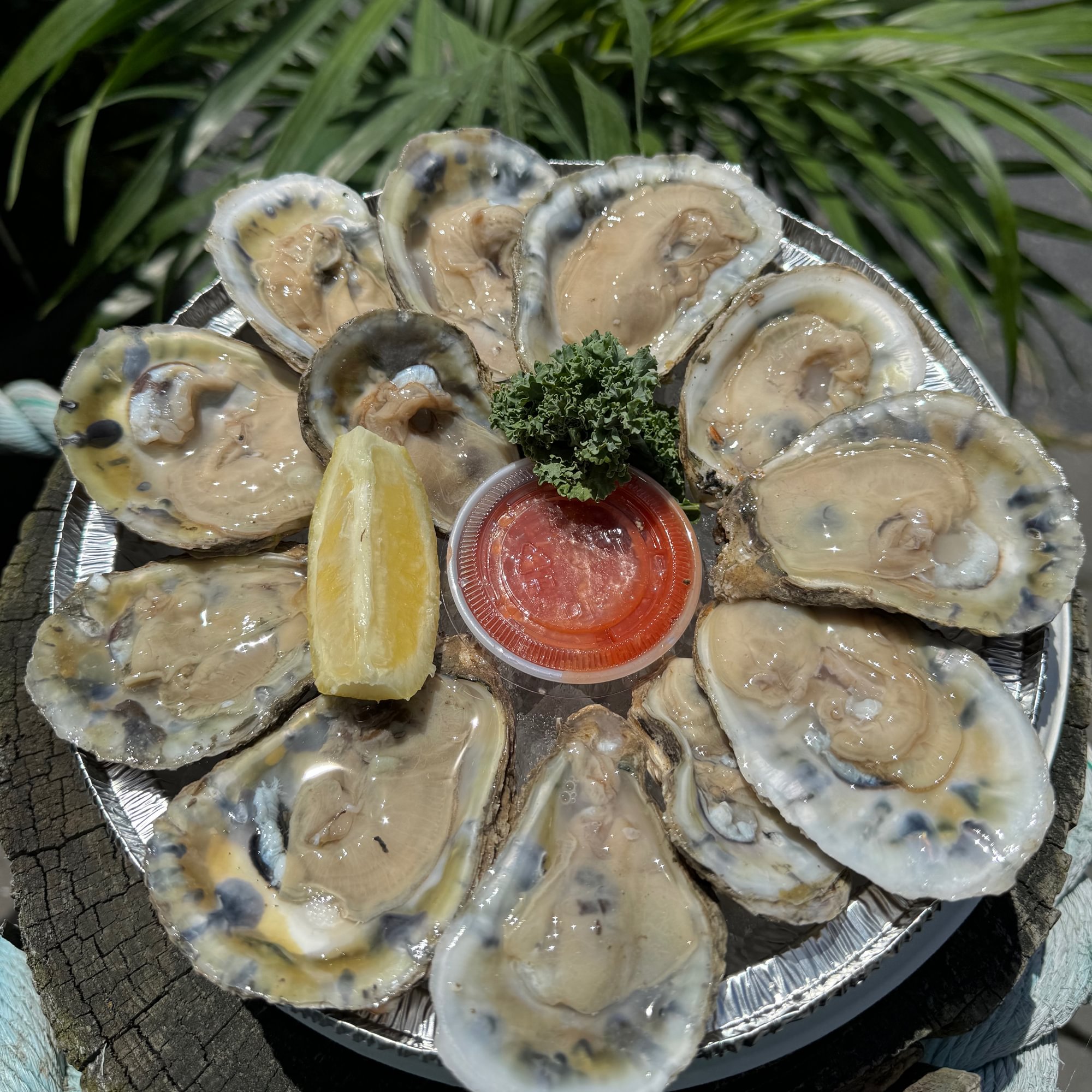 Blue Point Oysters (1 Pc.)