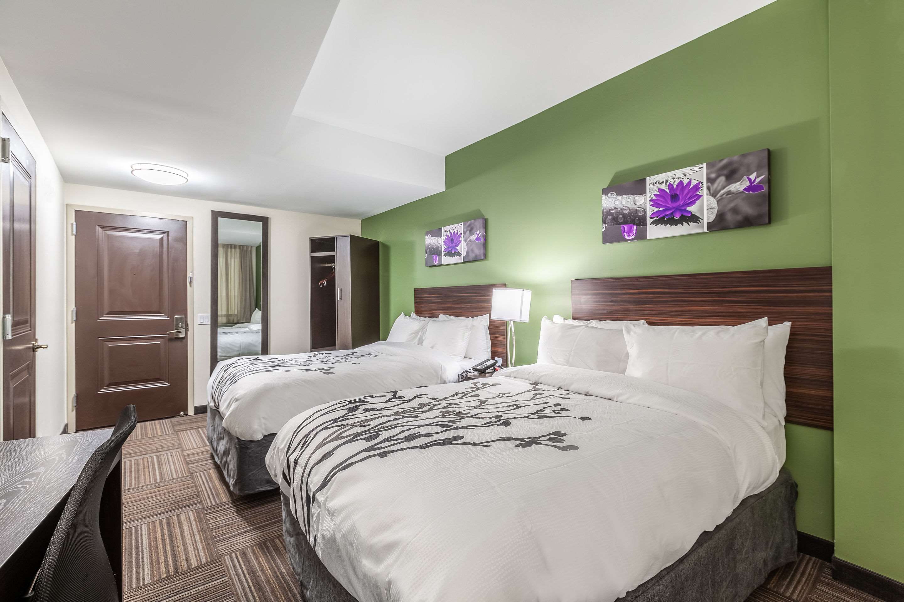 Sleep Inn & Suites Near Jfk Air Train Photo