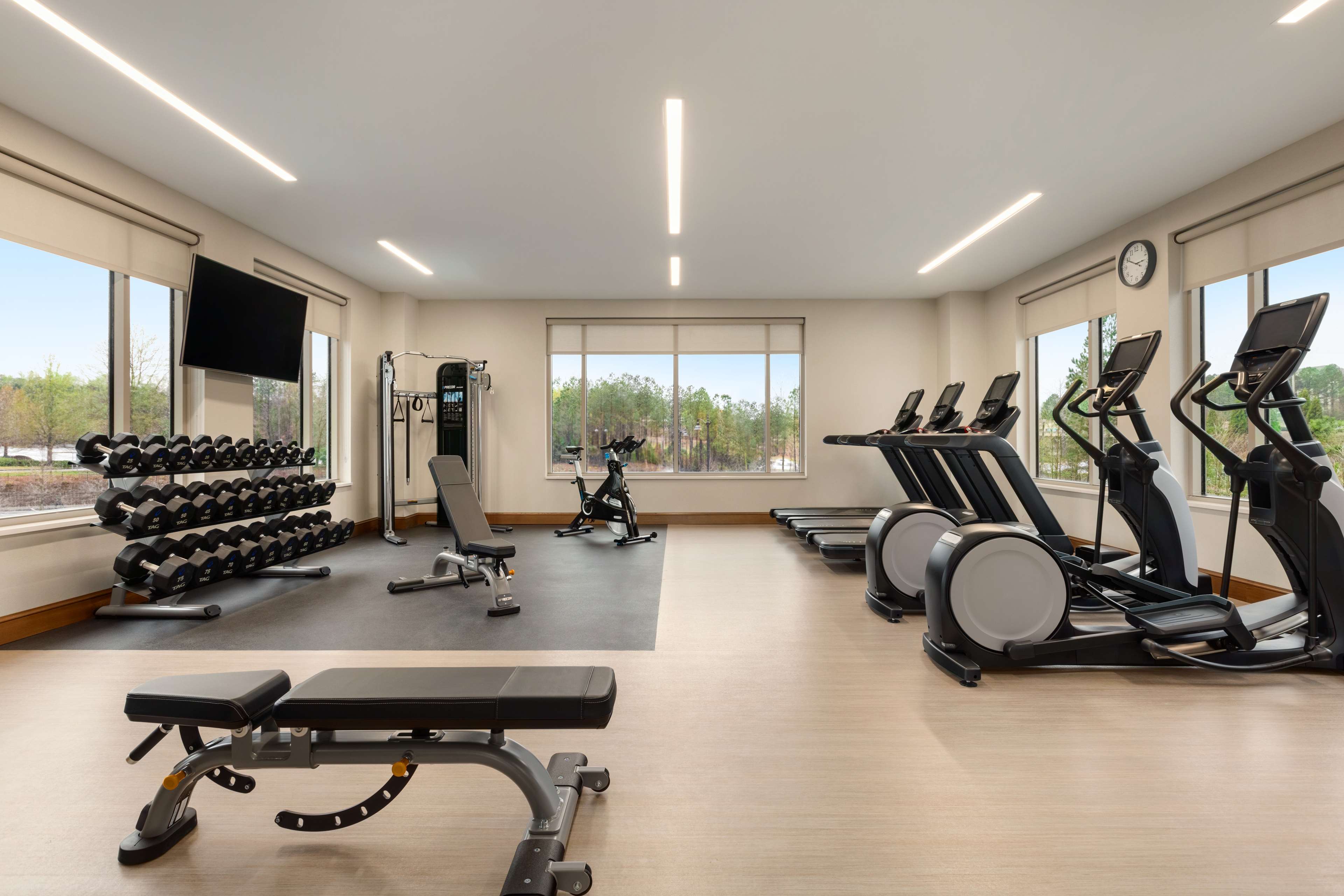 Health club  fitness center  gym