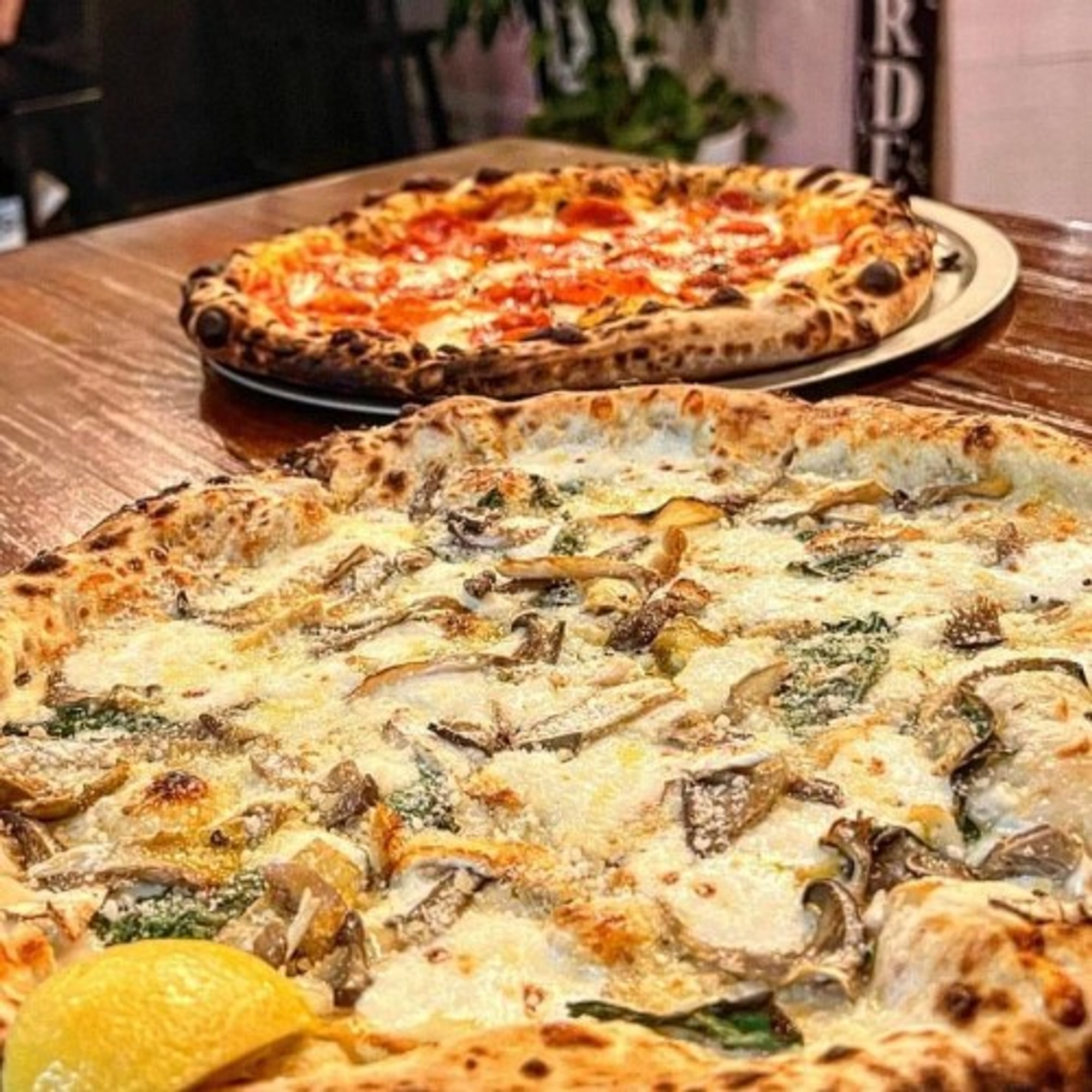 Fungi Pizza