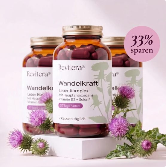 Wandelkraft Leber Komplex¹