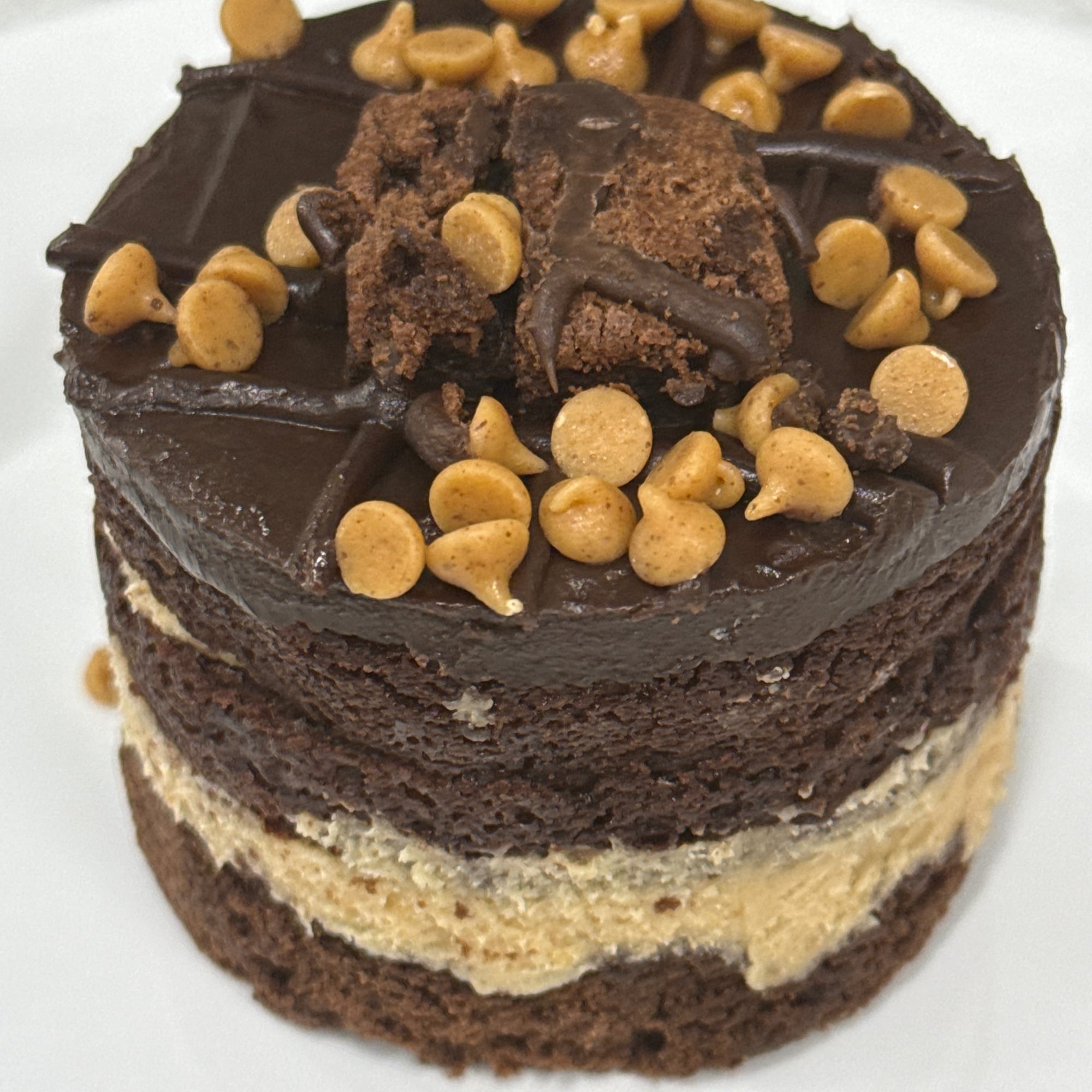 Reeses Explosion Cake