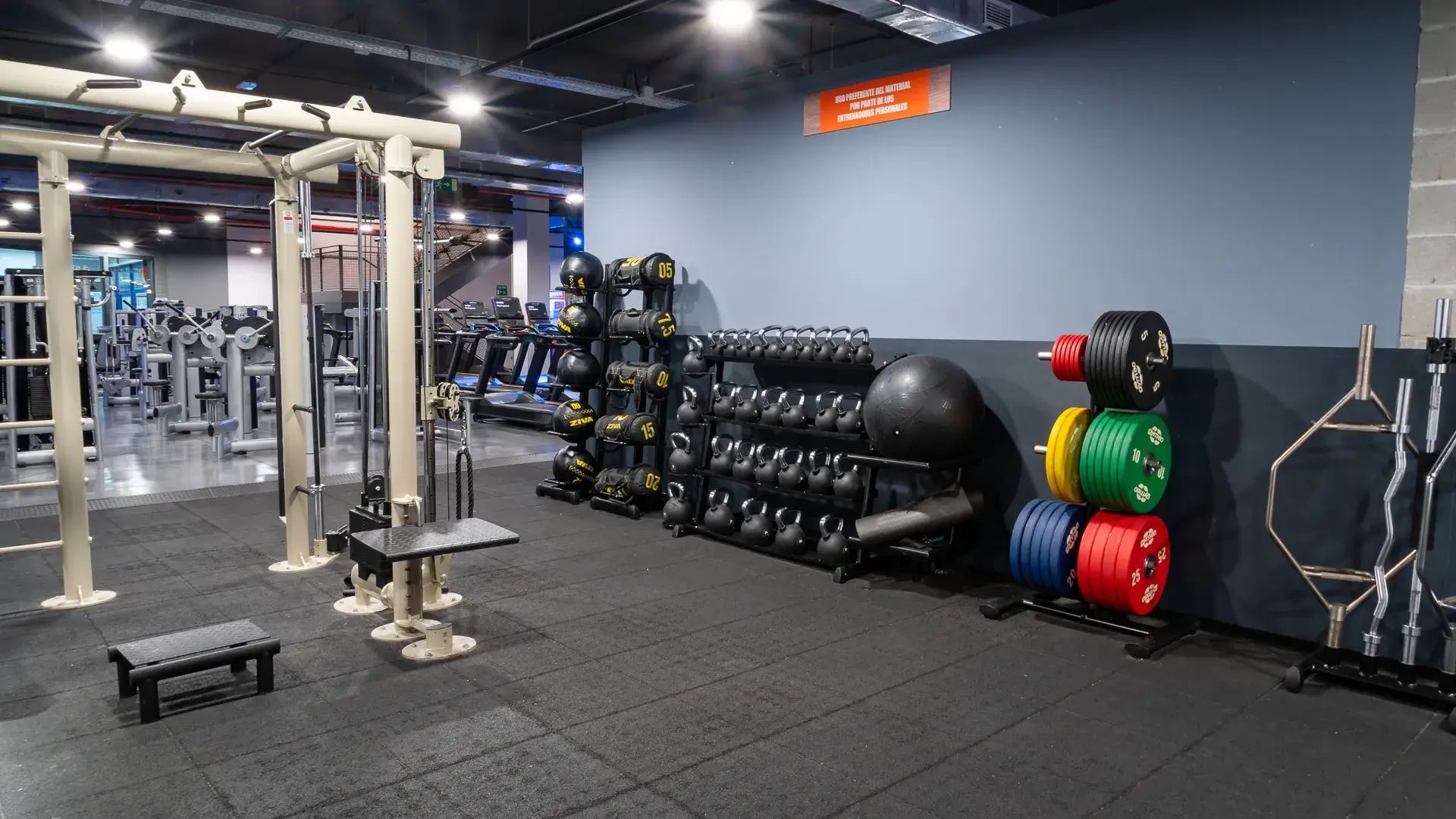 Galería en miniatura