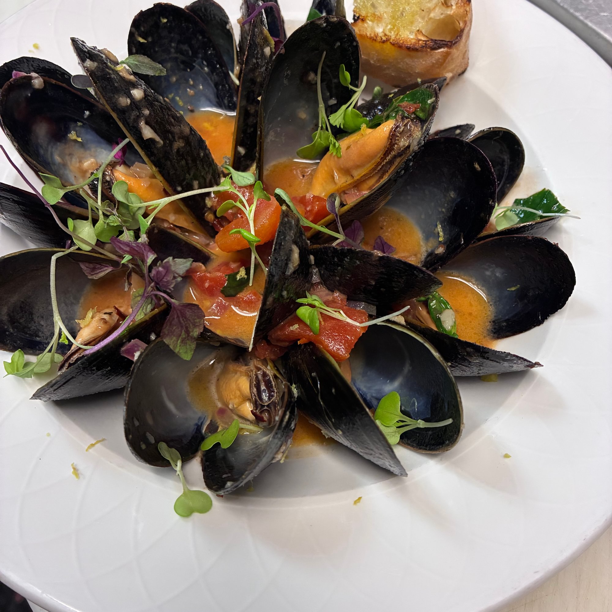 Mejillones a La Romana