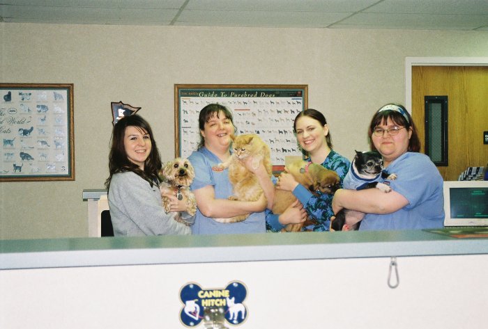 VCA Feist Animal Hospital Photo