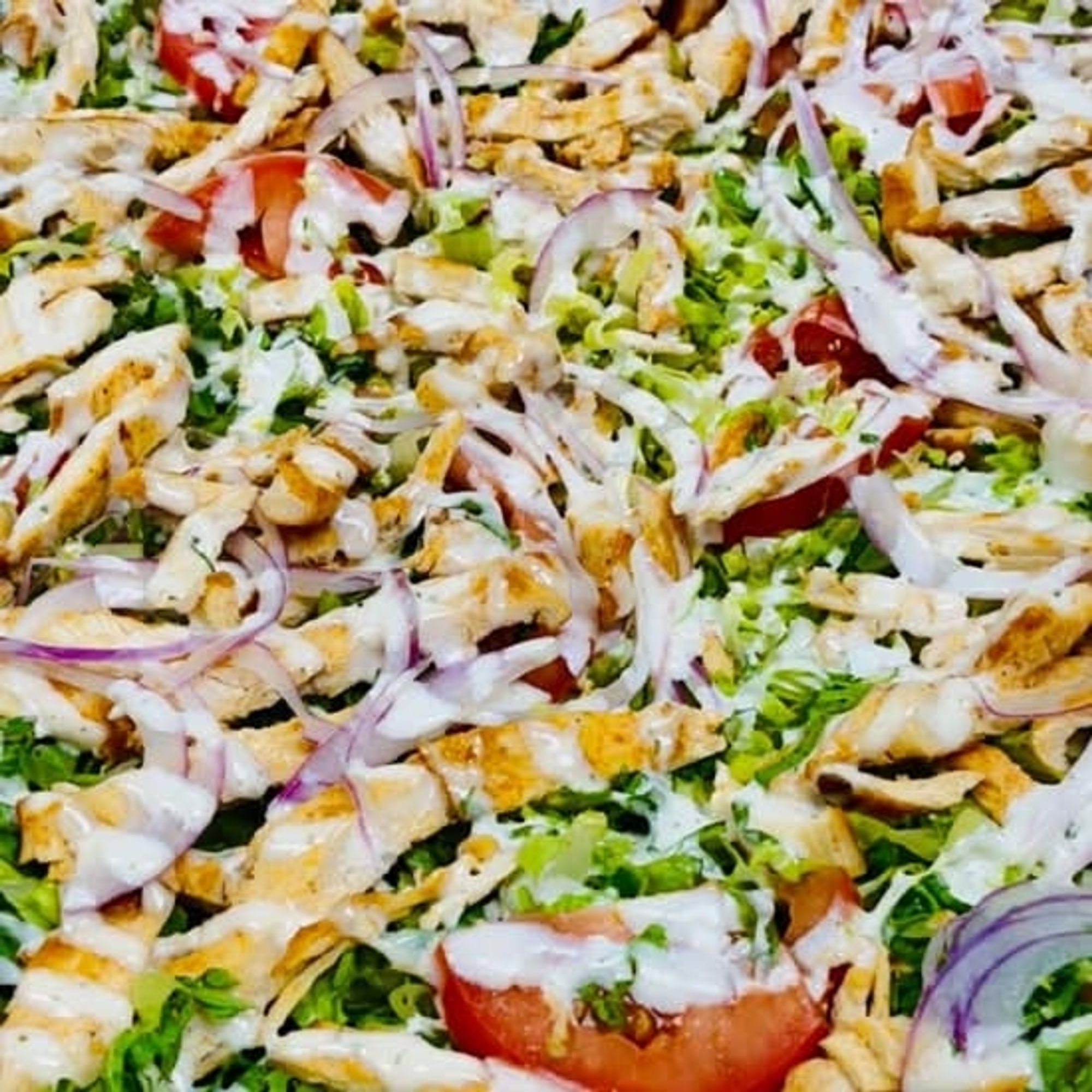 Mister Salad Pizza L-16"
