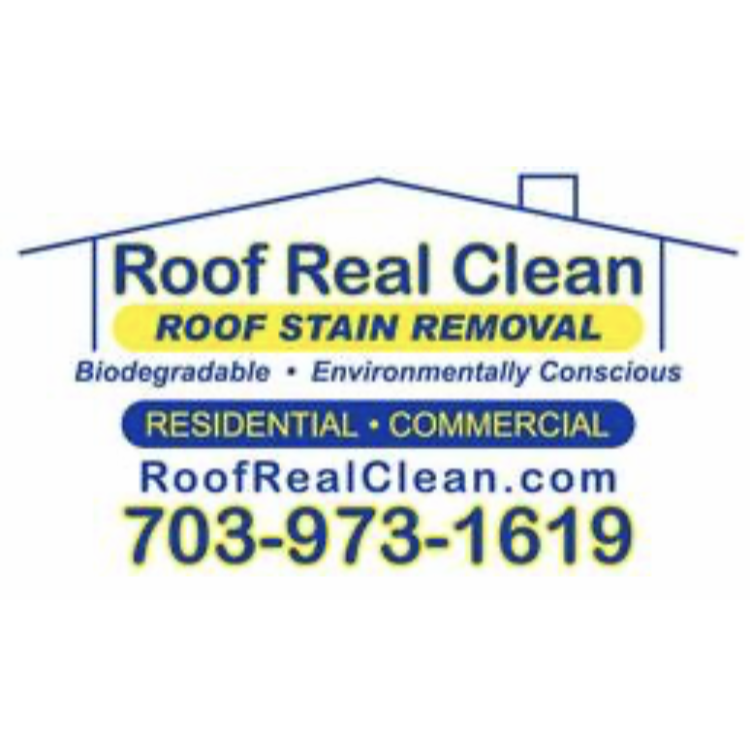 Roof Real Clean Logo