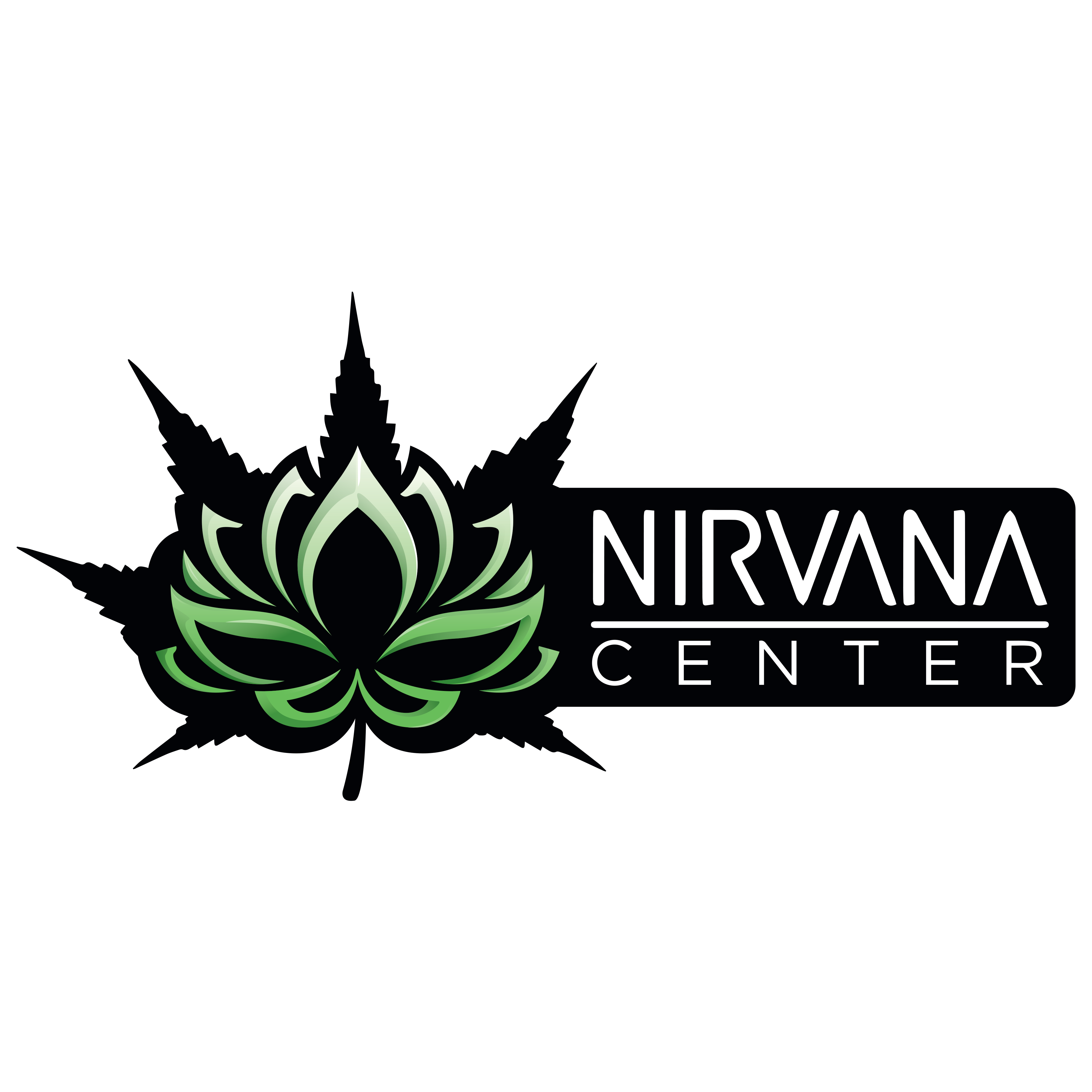 Nirvana Center Logo