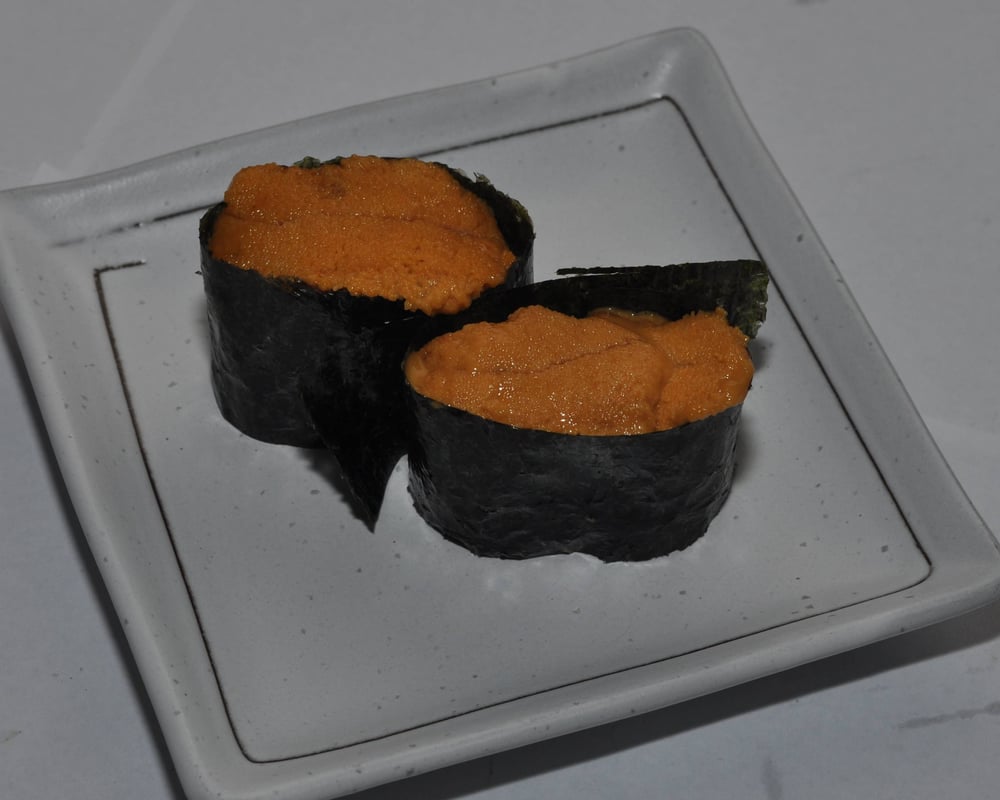 SEA URCHIN (UNI)