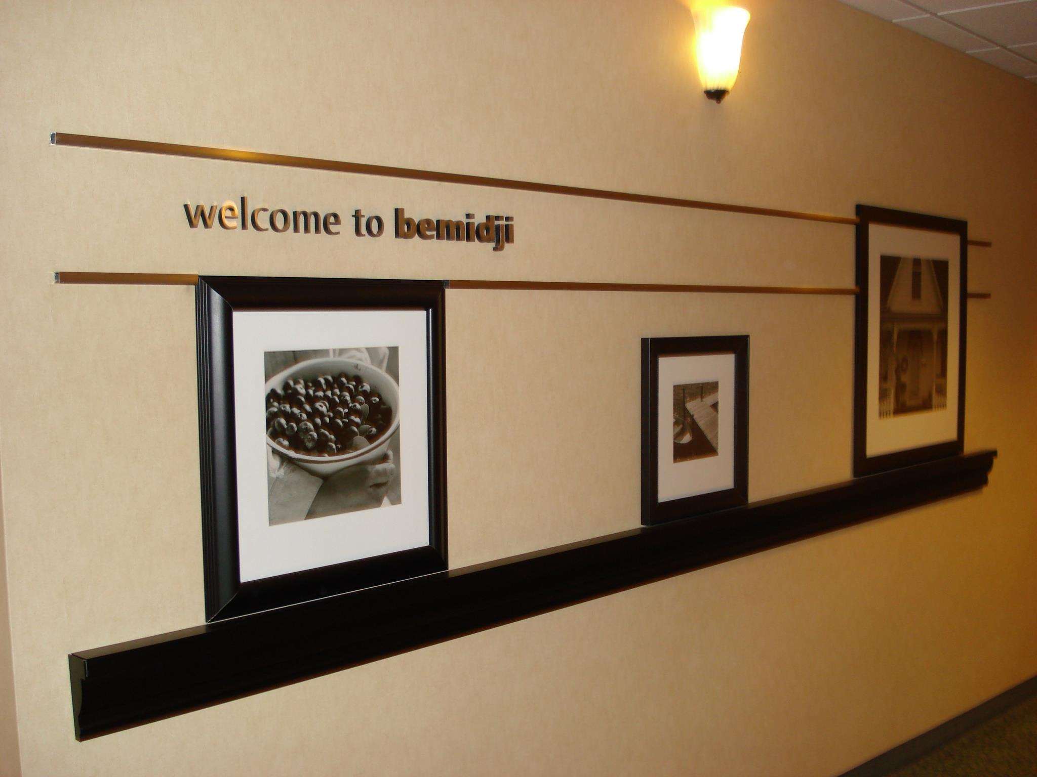 Hampton Inn & Suites Bemidji Photo