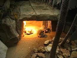 Turtle Cave